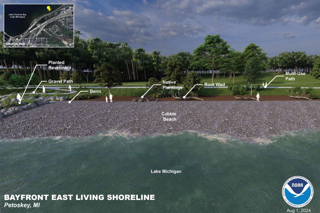 The Bayfront East Living Shoreline and Trail Modification Project in Petoskey, Michigan addresses damage to public parkland, sewage infrastructure, and a non-motorized trail caused by fluctuating water levels, wind erosion, and wave overtopping. The project replaces a failing rock revetment with a nature-based, living shoreline by softening the slope, creating a cobble beach and a backshore pond with native plantings and woody debris.