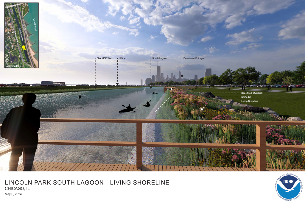 The Lincoln Park South Lagoon Shoreline Resilience Project in Chicago, Illinois addresses severe erosion and infrastructure failure caused by fluctuating lake levels that have overtopped a lagoon wall. The engineered design demonstrates how resilient shoreline solutions can foster ecological benefits and be designed in alignment with the aesthetics of a historic park landscape. The design stabilizes and enhances habitat areas, reduces hardened shorelines, and reconnects the transition zone where the slope can be softened.