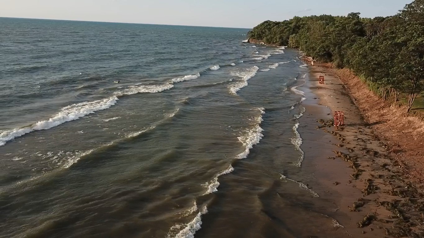 Waves lapping at the shore.
